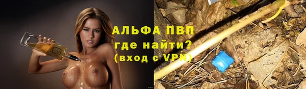 apvp Алексин