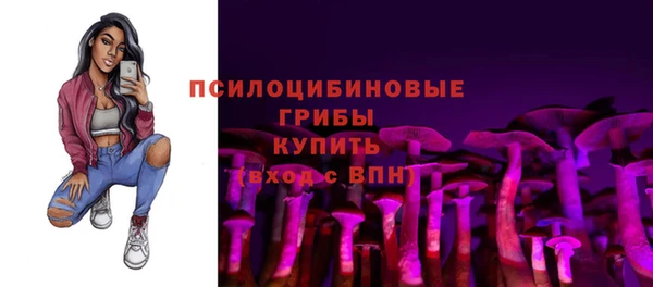 apvp Алексин