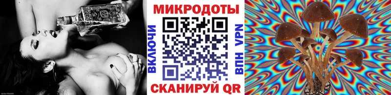 Псилоцибиновые грибы прущие грибы  Мышкин 